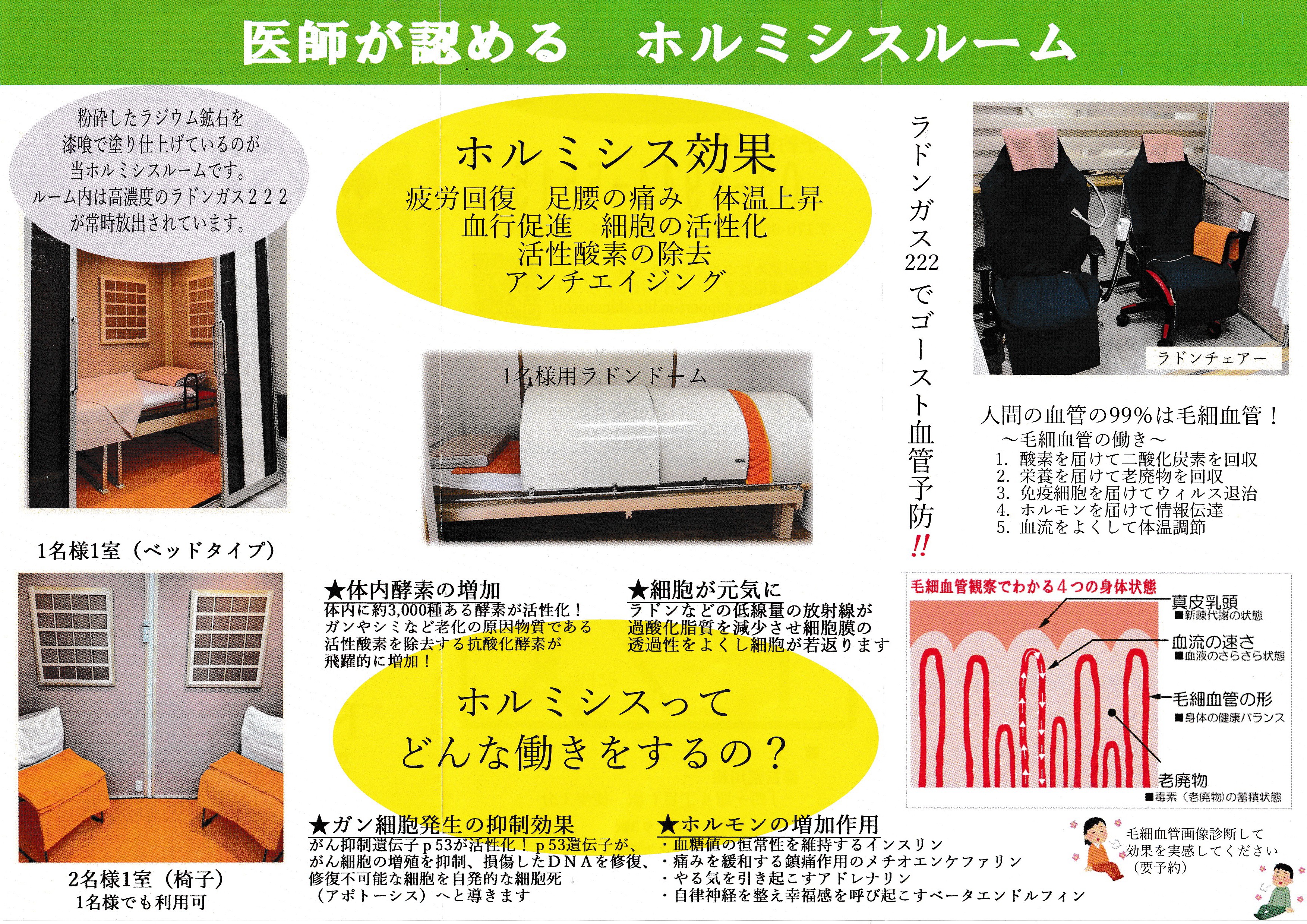 ホルミシスラドンルーム - 健康サポートM